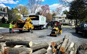 Best Tree Health Inspection  in East Gaffney, SC
